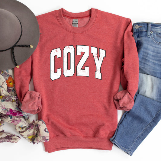 Cozy Worn Varsity | Sweatshirt