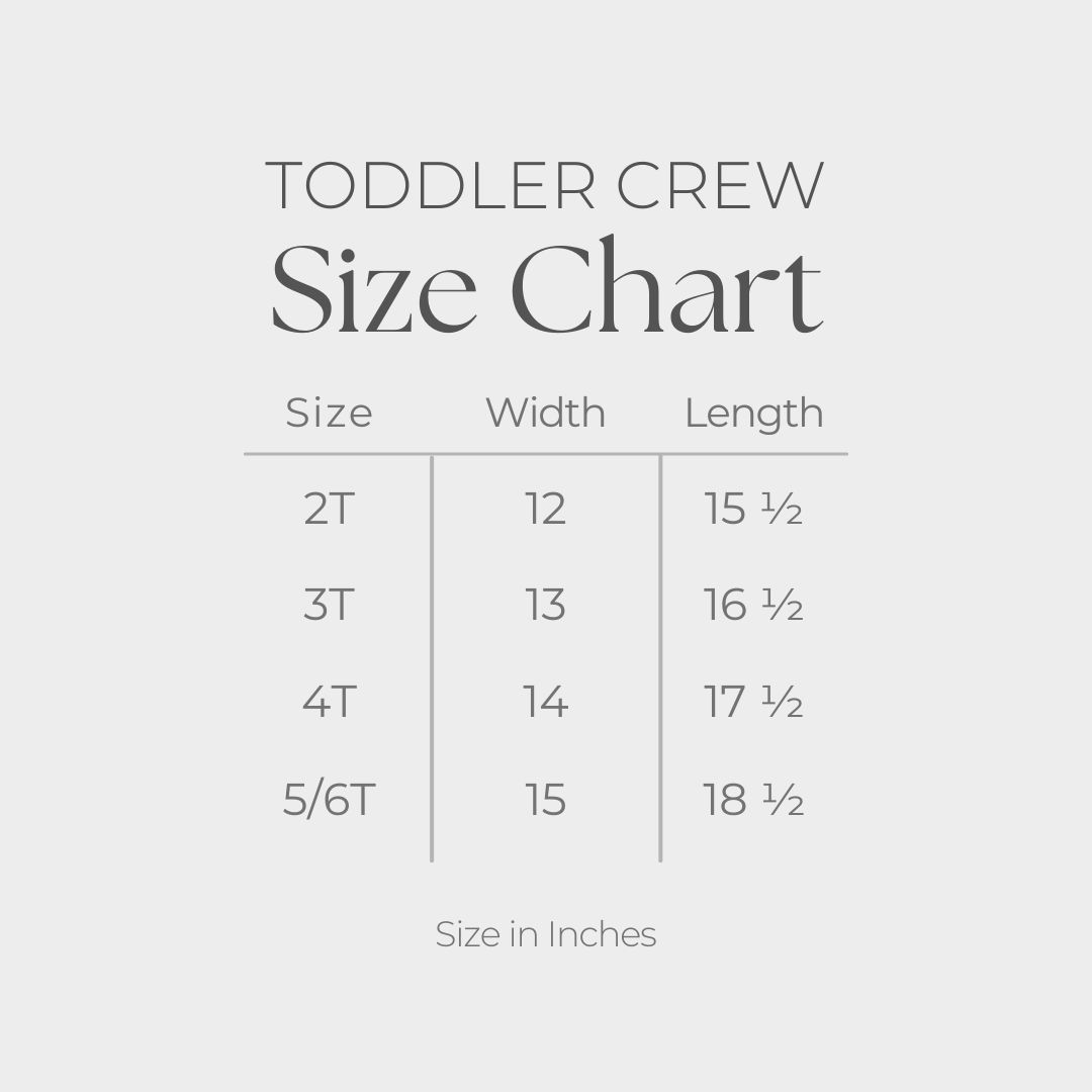 Toddler Short Sleeve Graphic T-Shirt - size guide