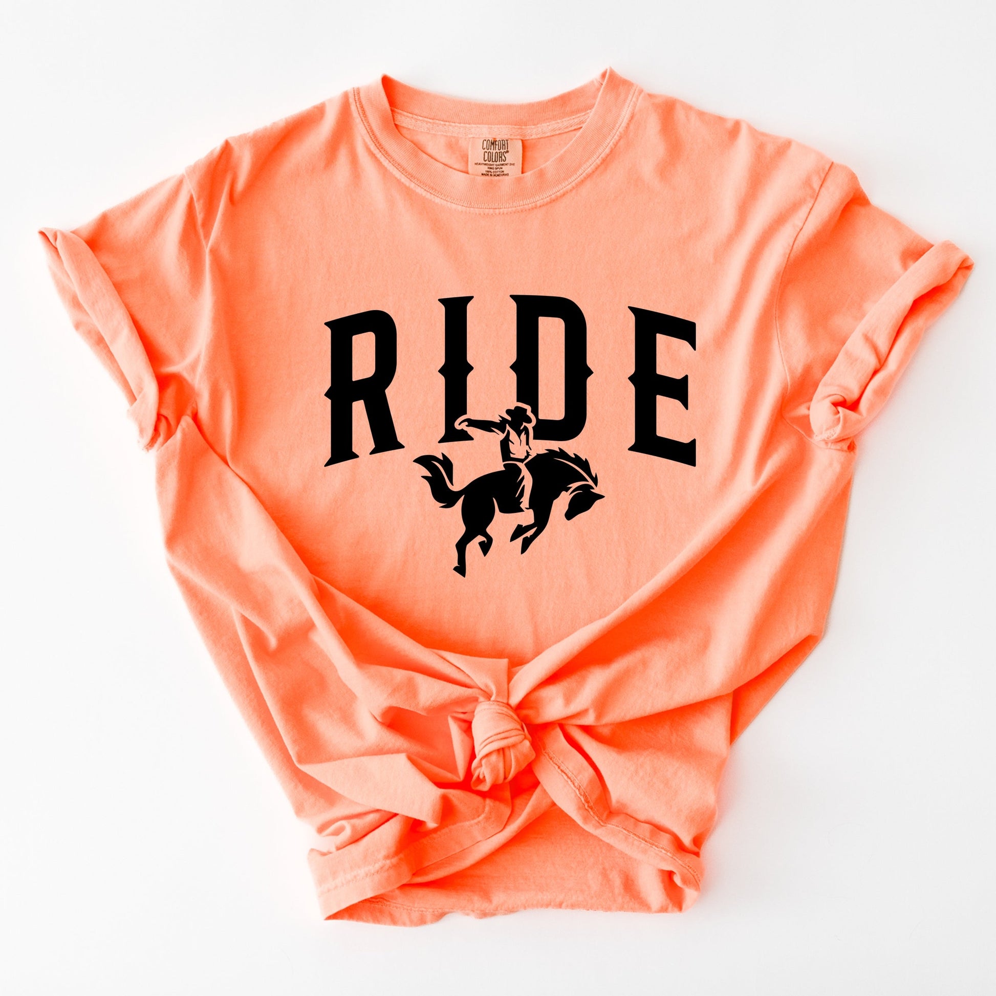 19953B_F-GDT Cantaloupe