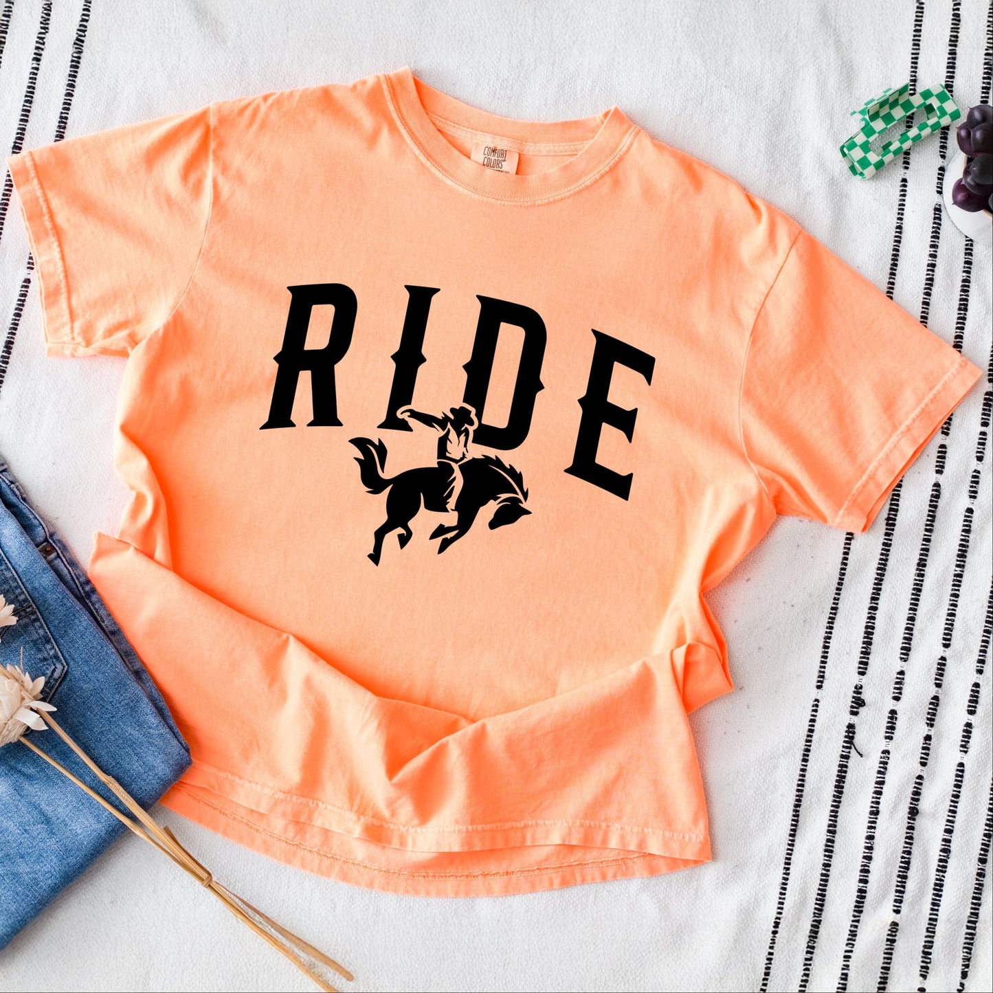 19953B_F-GDT Cantaloupe