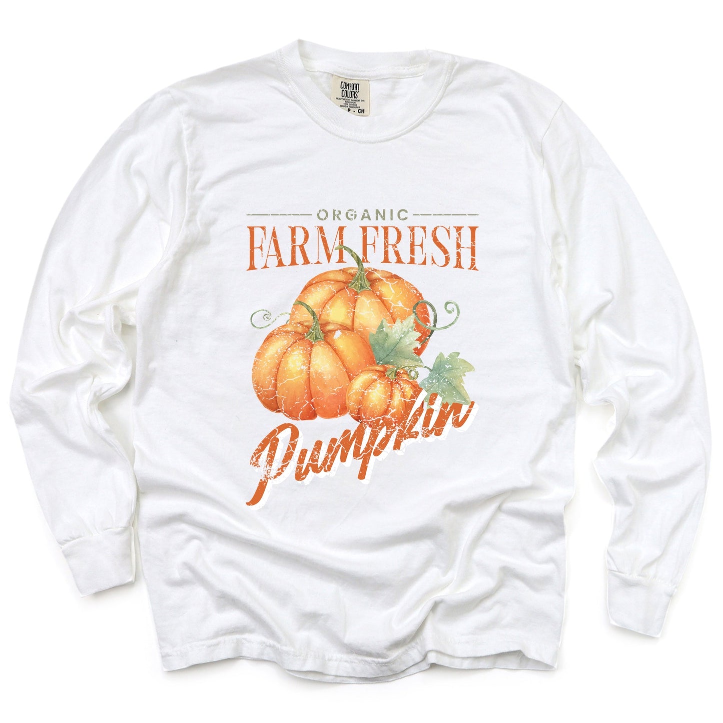Farm Fresh Pumpkin Watercolor - Women's Garment Dyed Long Sleeve Graphic T-Shirt