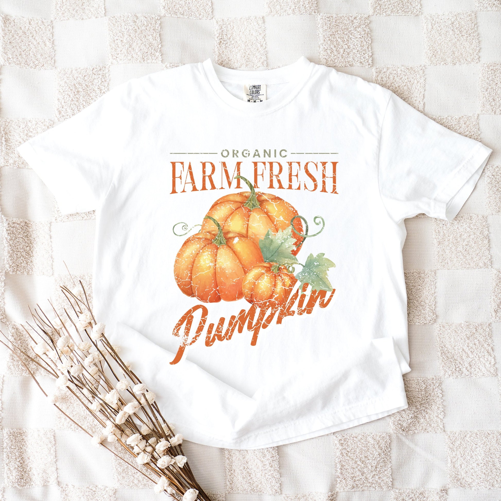 Farm Fresh Pumpkin Watercolor - Women's Garment Dyed Graphic T-Shirt