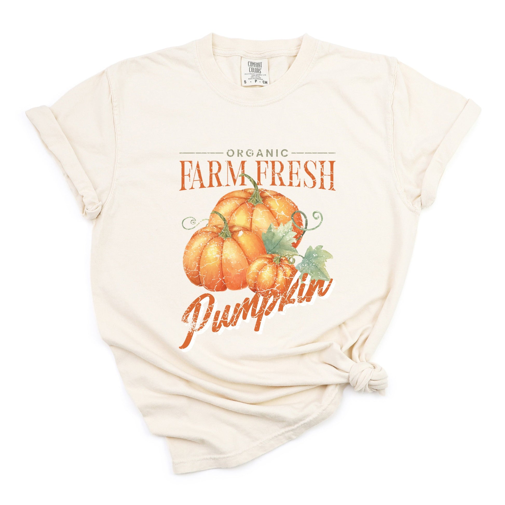 Farm Fresh Pumpkin Watercolor - Women's Garment Dyed Graphic T-Shirt
