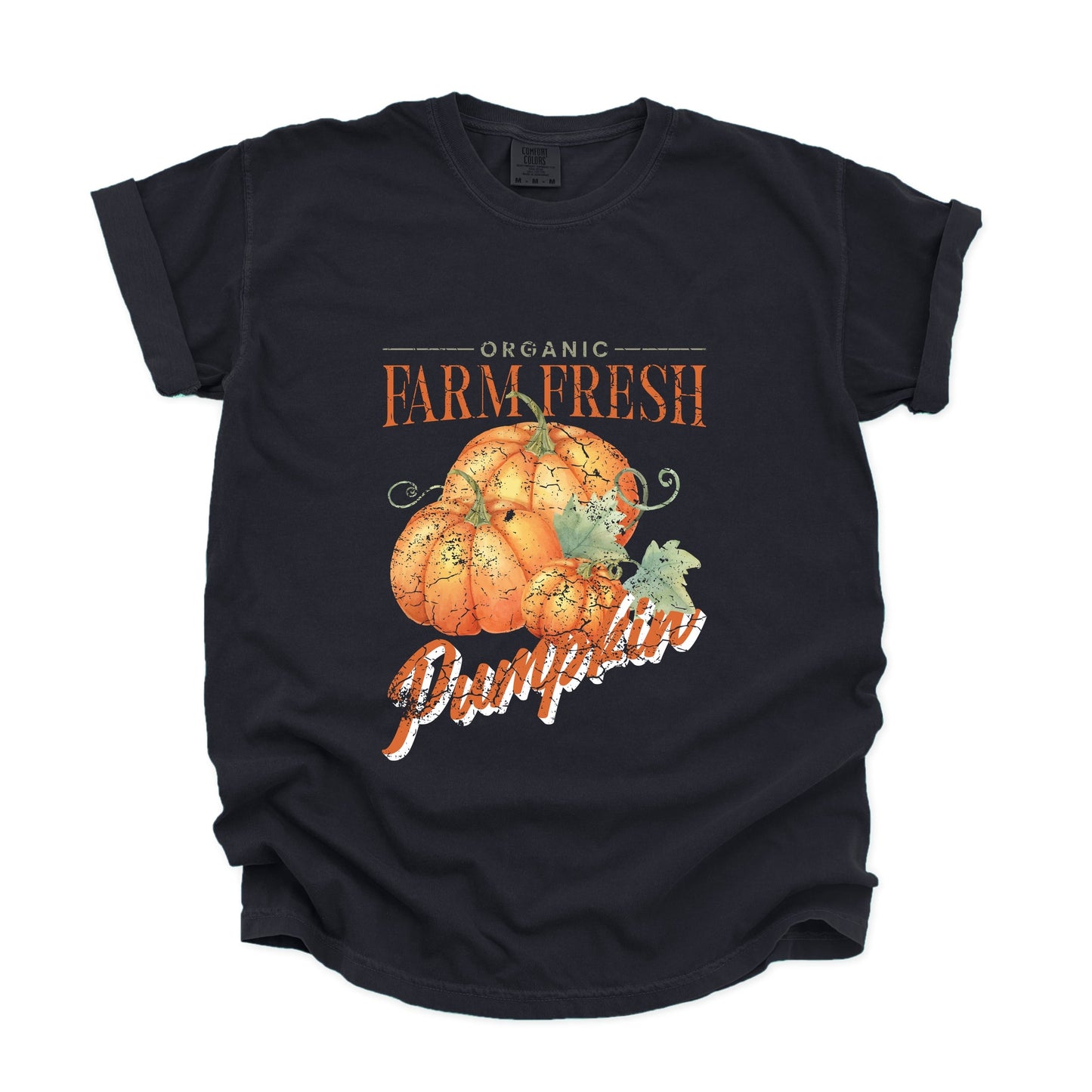 Farm Fresh Pumpkin Watercolor - Women's Garment Dyed Graphic T-Shirt