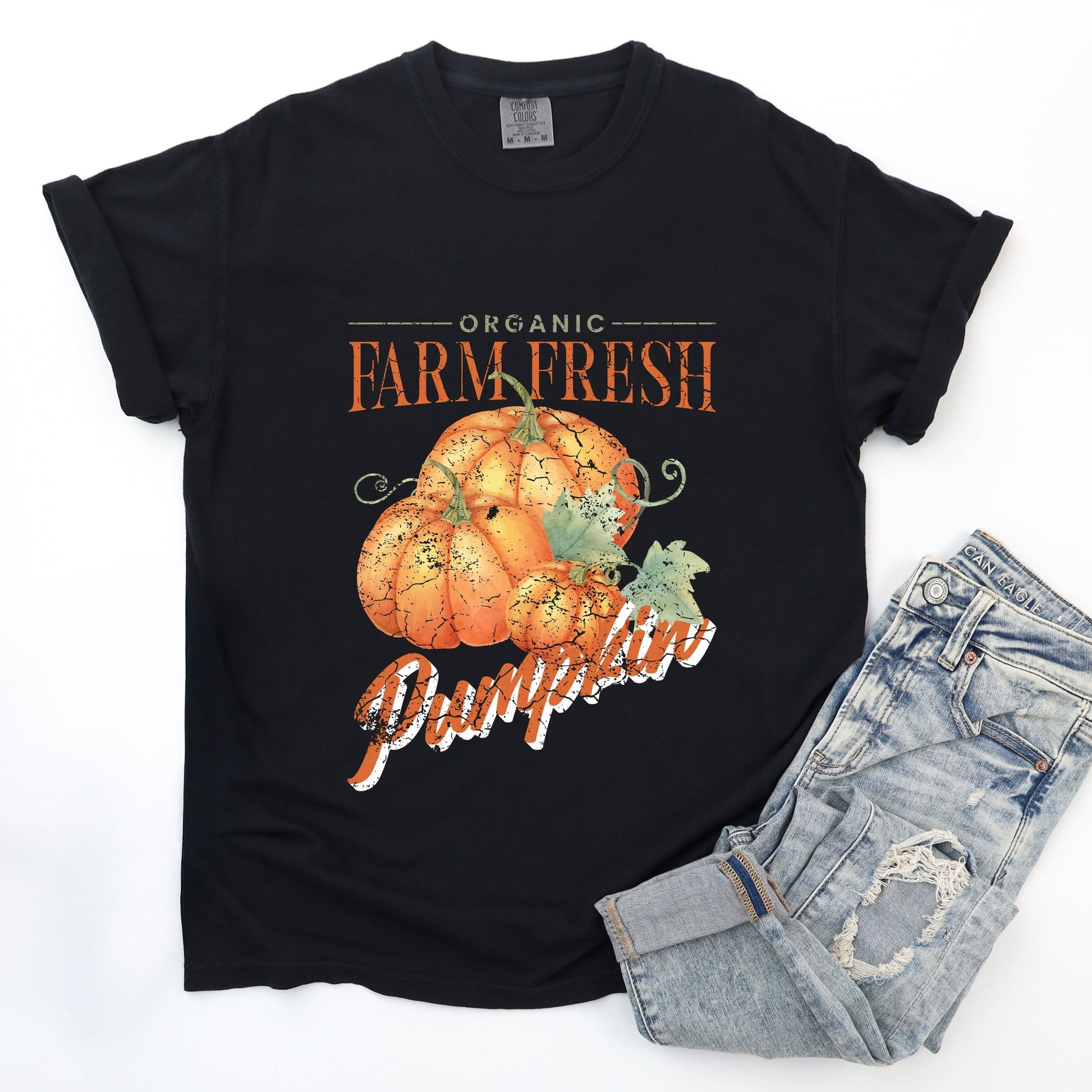 Farm Fresh Pumpkin Watercolor - Women's Garment Dyed Graphic T-Shirt