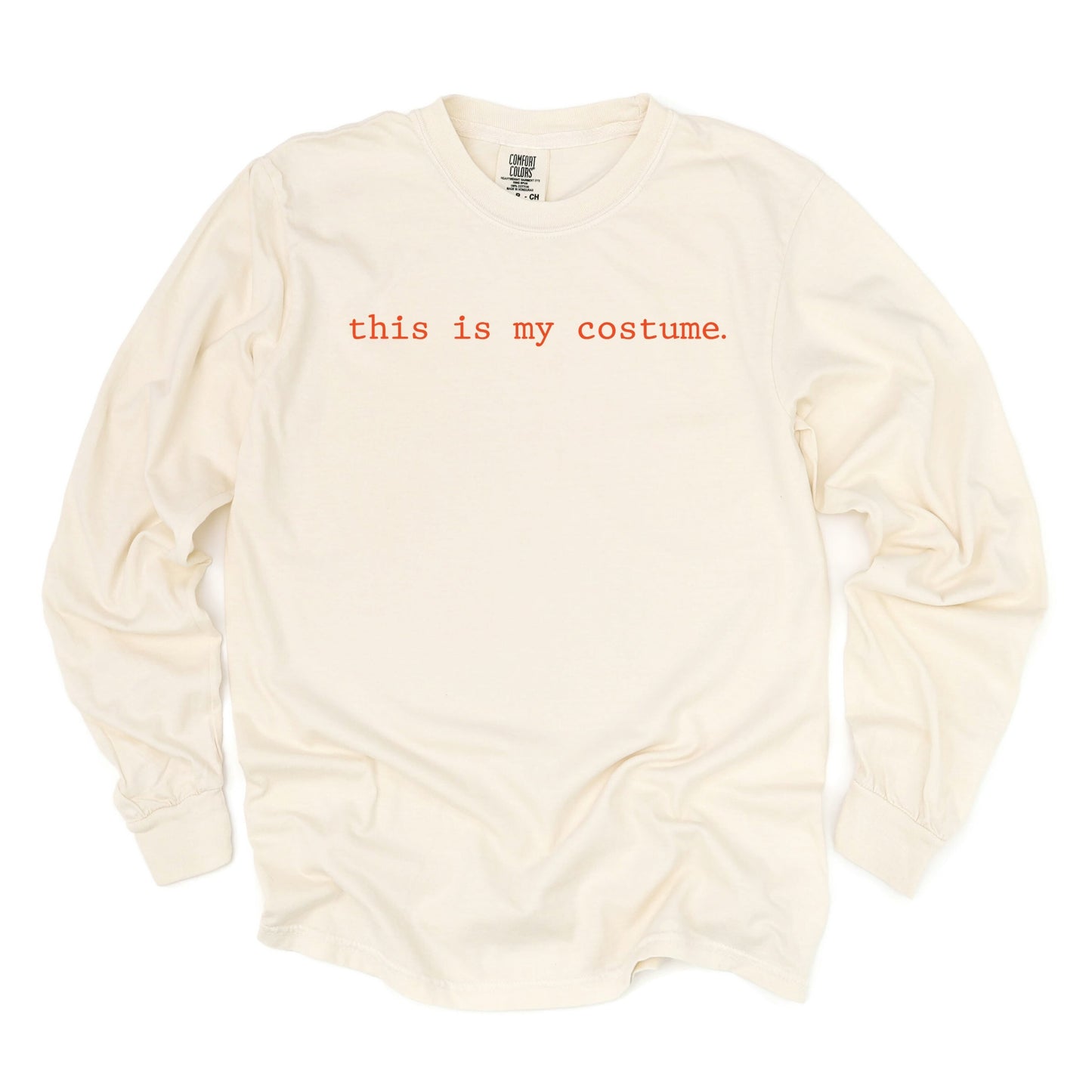 This Is My Costume Typewriter - Women's Garment Dyed Long Sleeve Graphic T-Shirt