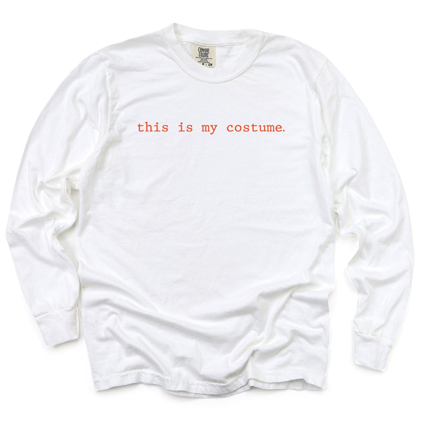 This Is My Costume Typewriter - Women's Garment Dyed Long Sleeve Graphic T-Shirt