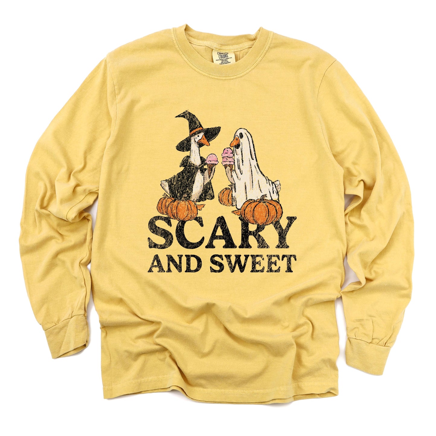 Scary and Sweet Geese - Women's Garment Dyed Long Sleeve Graphic T-Shirt