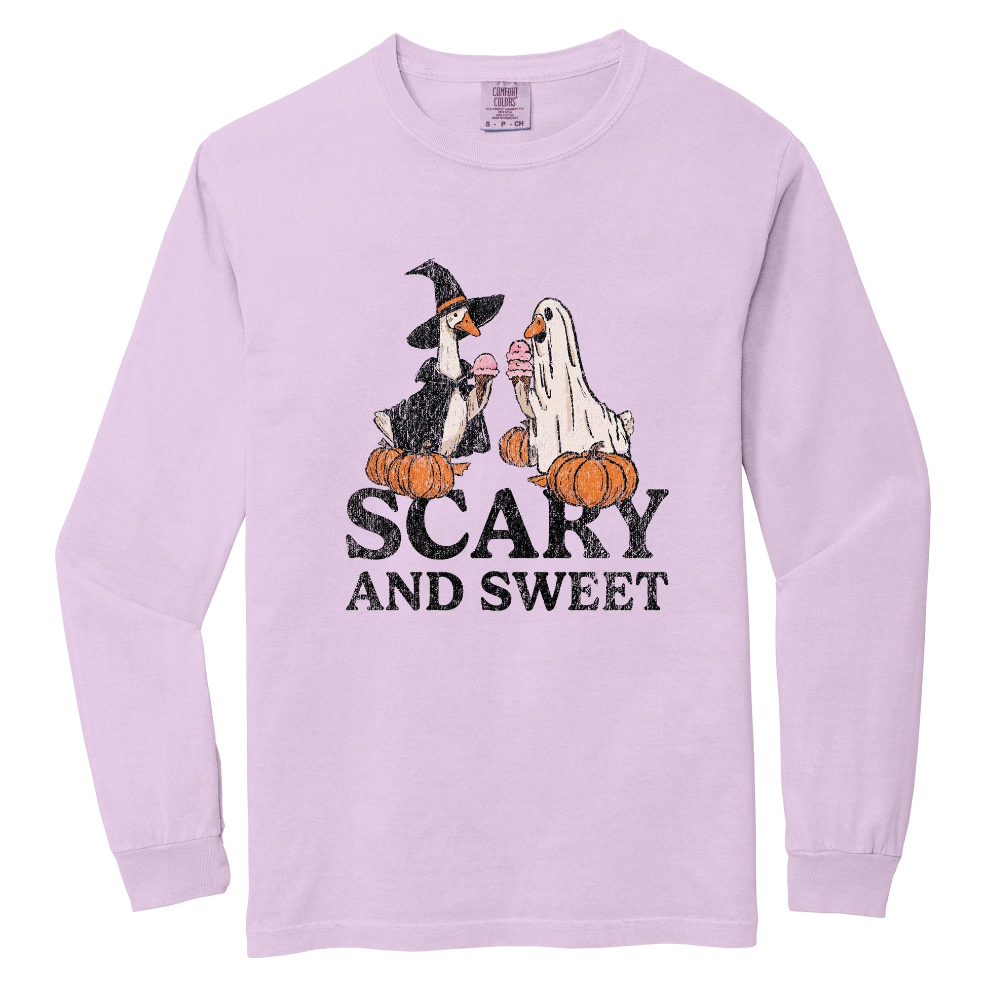Scary and Sweet Geese - Women's Garment Dyed Long Sleeve Graphic T-Shirt