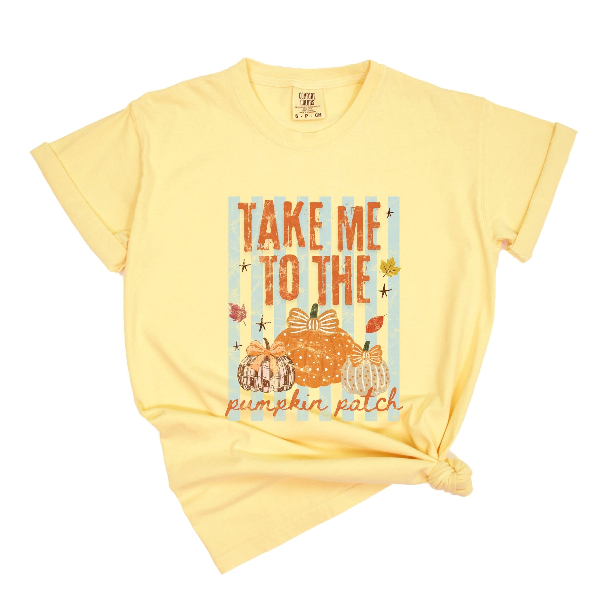 Take Me to the Pumpkin Patch Stripes - Women's Garment Dyed Graphic T-Shirt