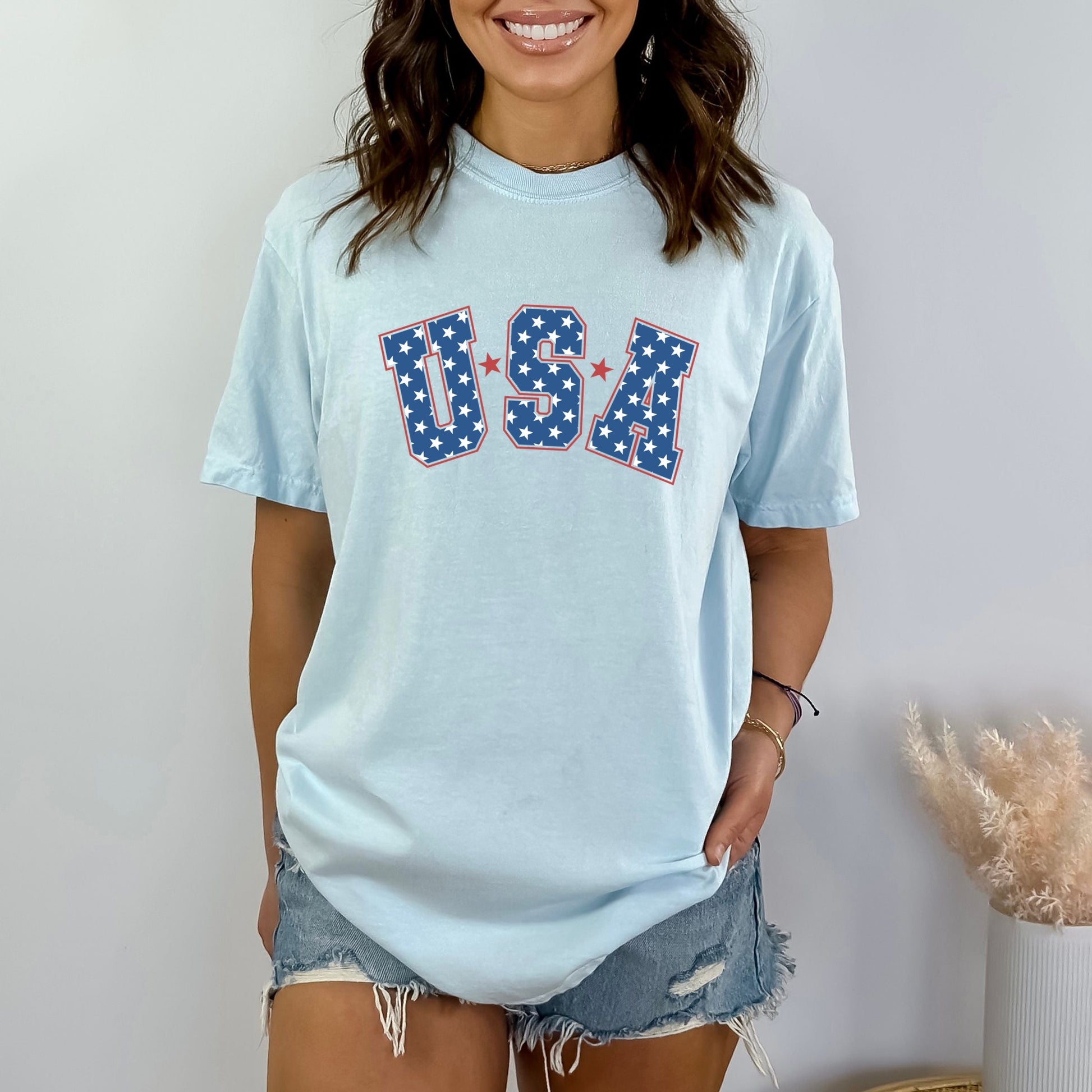 8356M_F-GDT Chambray