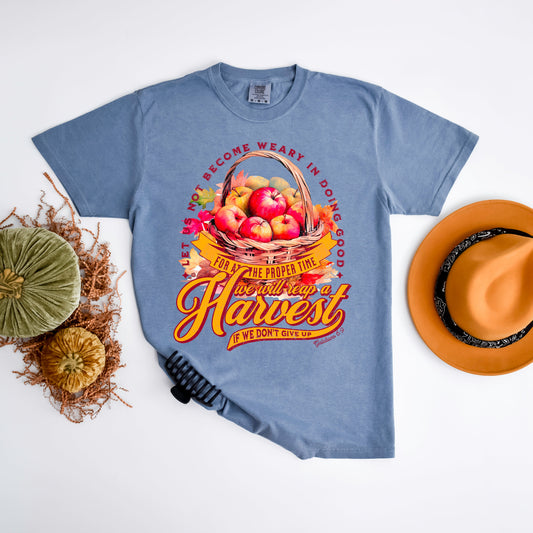 Let Us Not Become Weary | Garment Dyed Tee