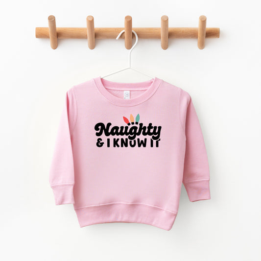 Naughty And I Know It Lights | Toddler Sweatshirt