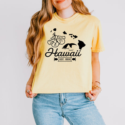 Hawaii Vintage | Relaxed Fit Cropped Tee
