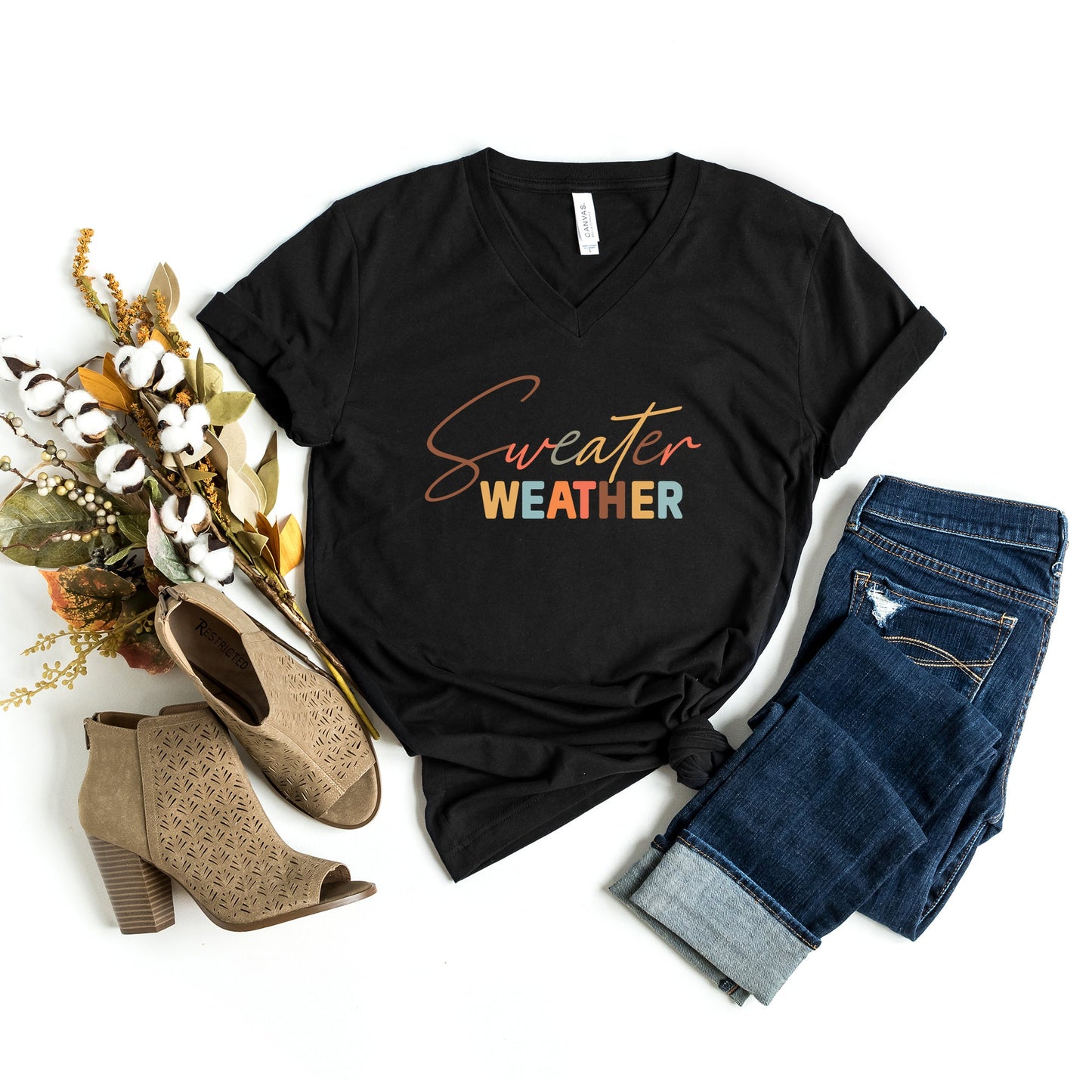 Sweater Weather Colorful | Short Sleeve V-Neck