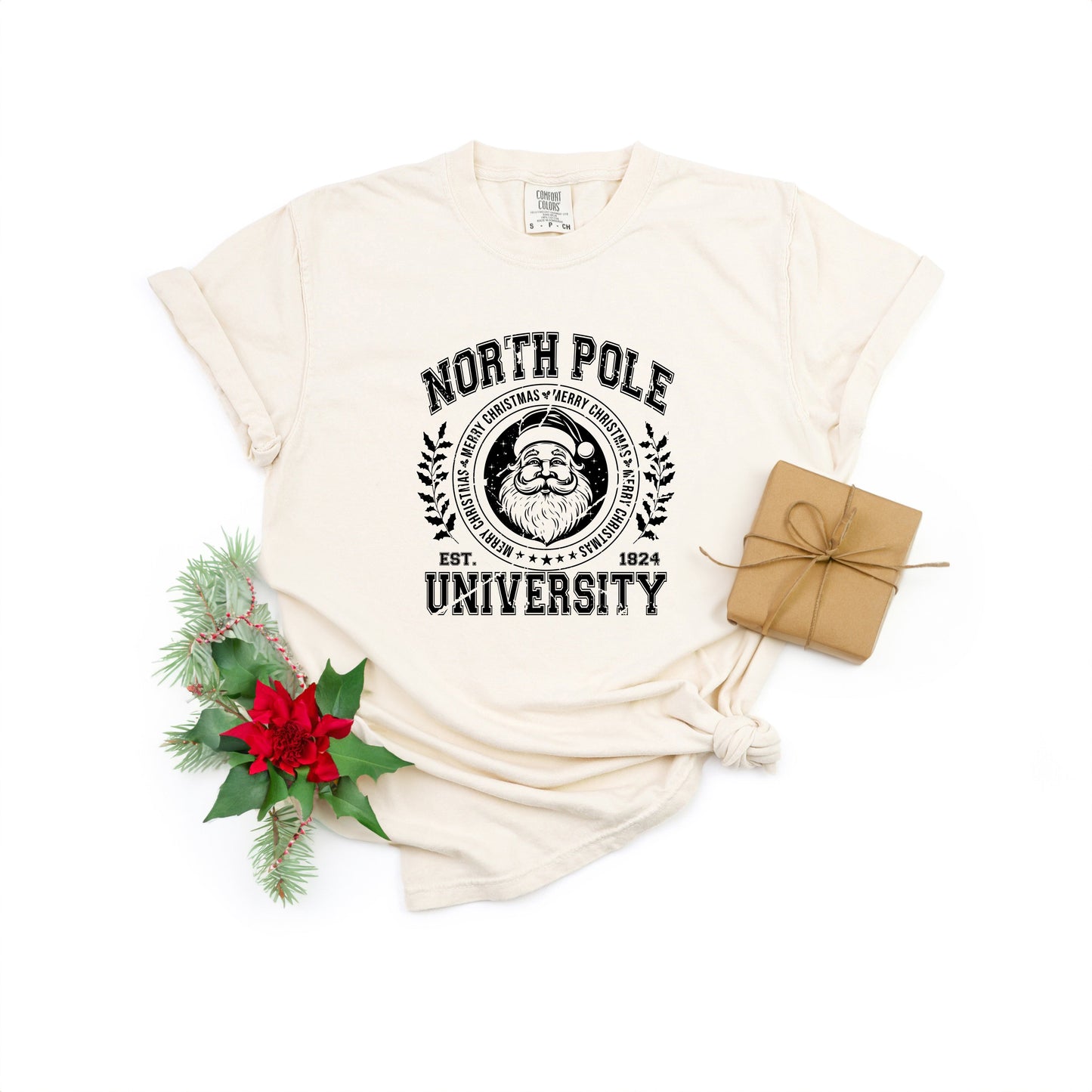 North Pole University Distressed | Garment Dyed Tee