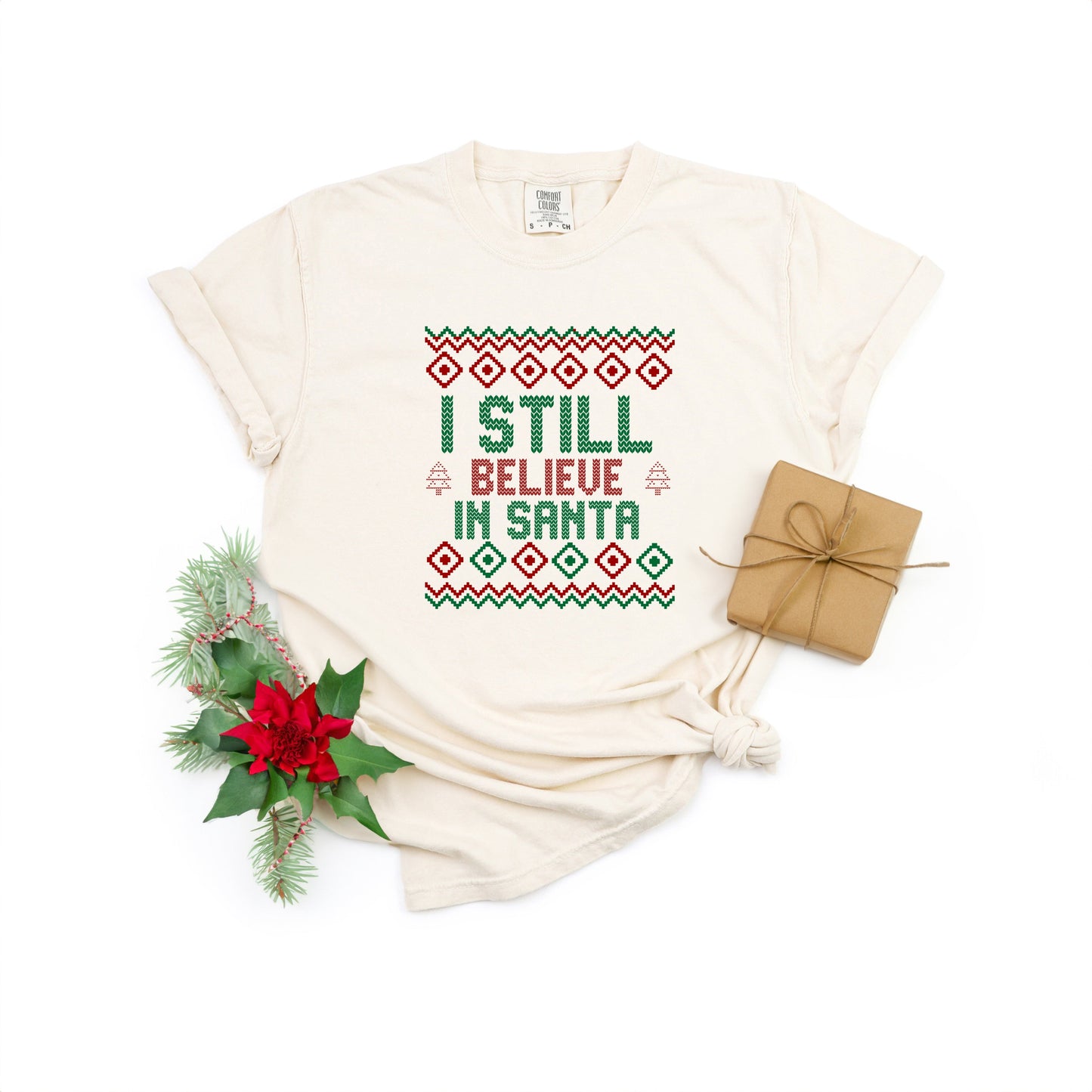 I Still Believe in Santa | Garment Dyed Tee