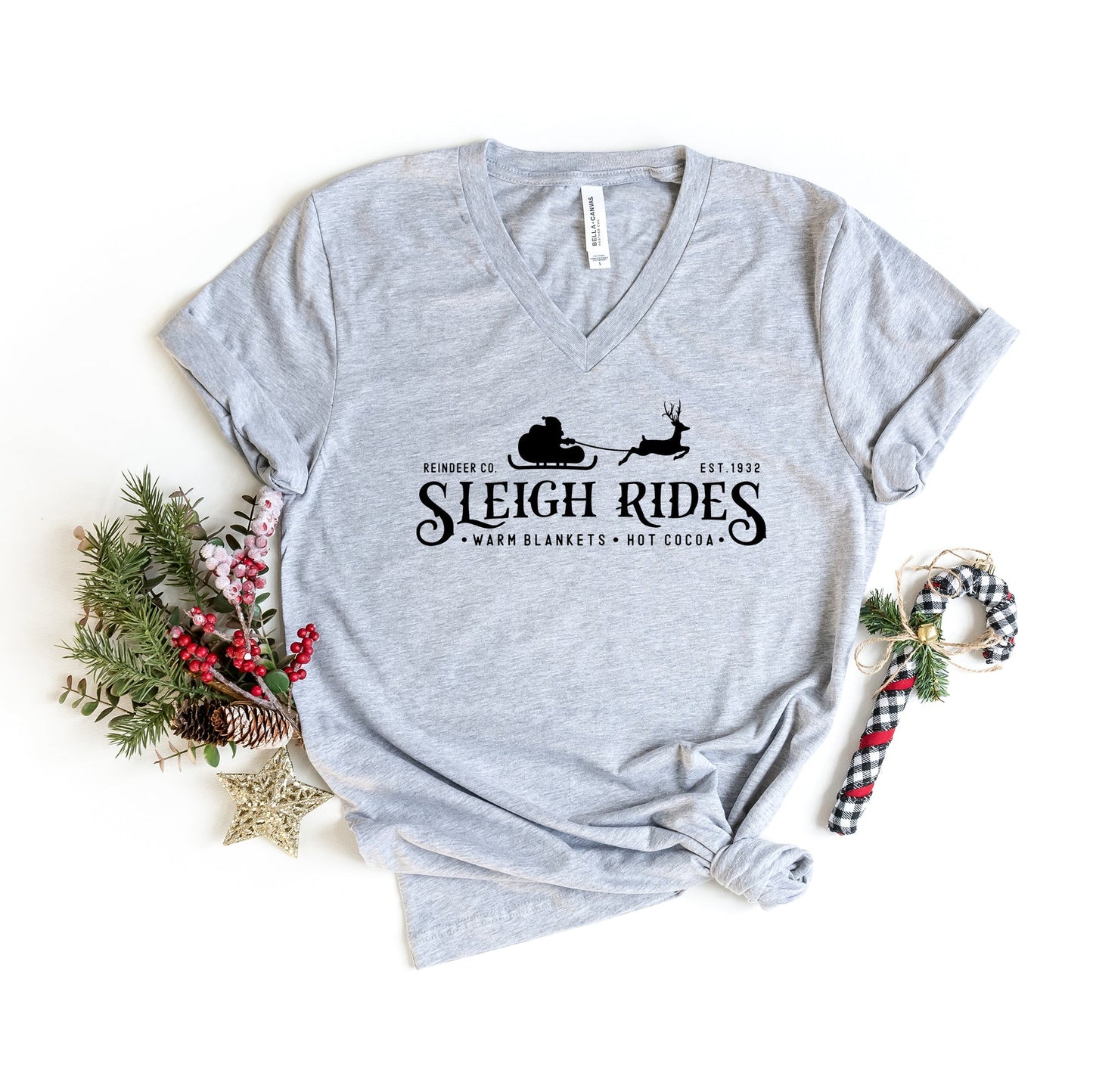 Sleigh Rides Reindeer | Short Sleeve V-Neck