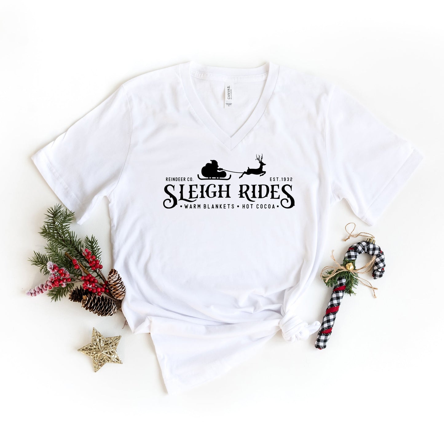 Sleigh Rides Reindeer | Short Sleeve V-Neck